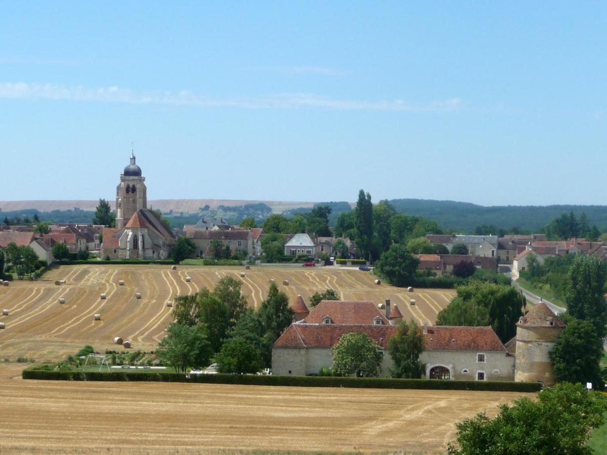 Chateau De Ribourdin Chevannes  Esterno foto