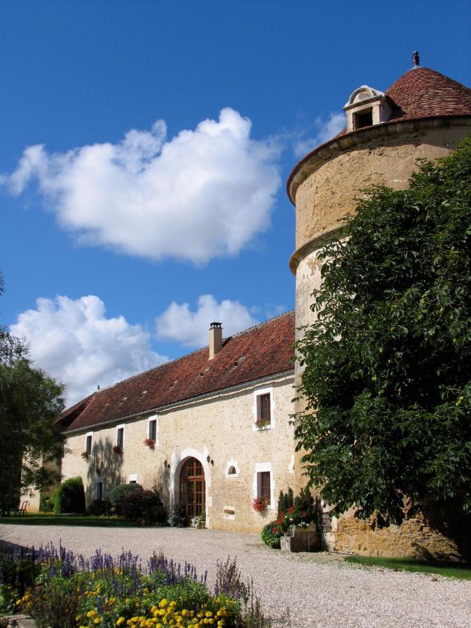 Chateau De Ribourdin Chevannes  Esterno foto